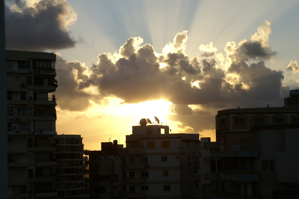 Dusk in Alexandria