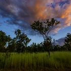 Dusk, Kakadu Highway, Northern Territory, Australia