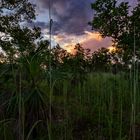 Dusk, Kakadu Highway, Northern Territory, Australia