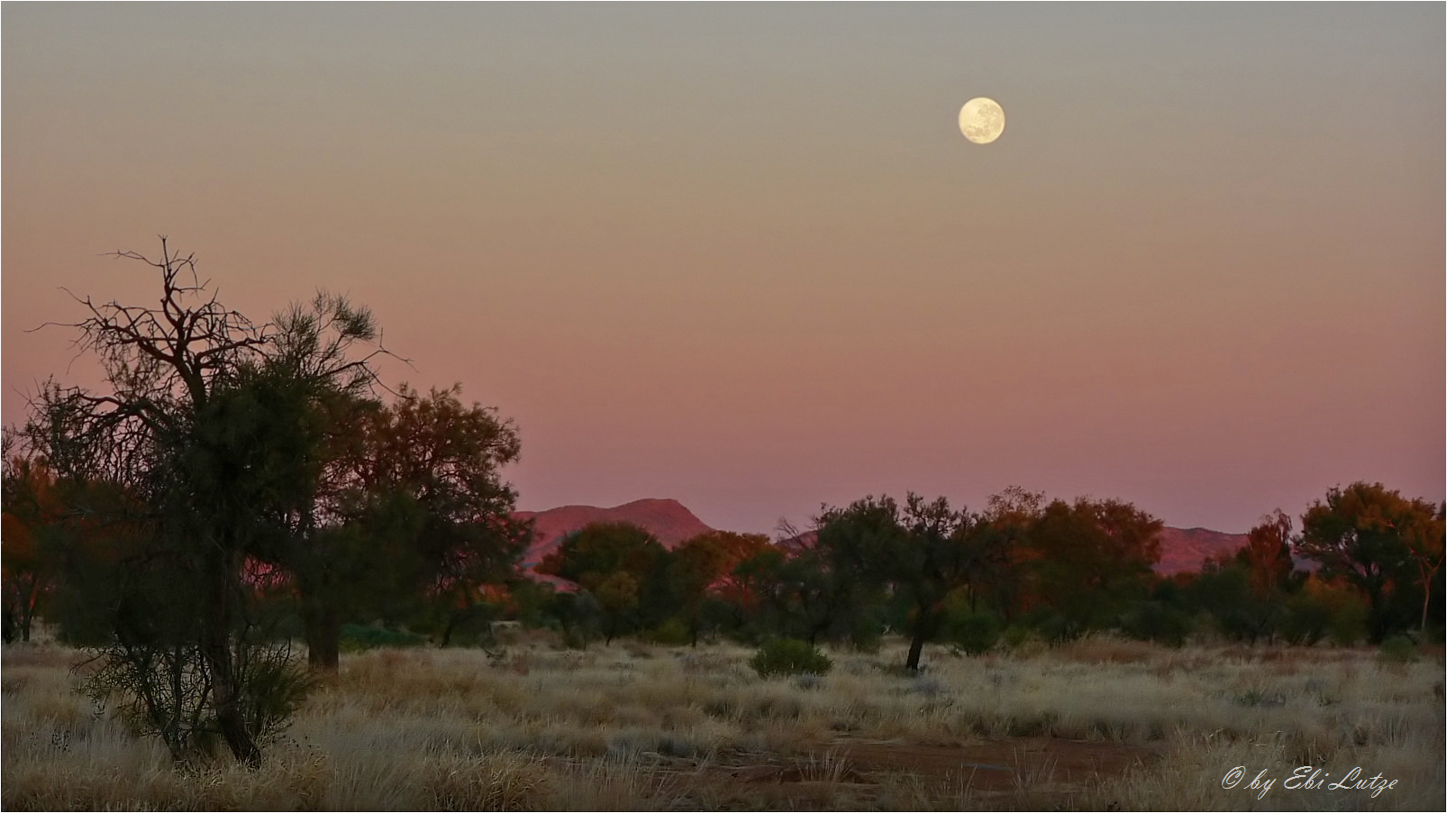 ** Dusk over the Harts Ranges **