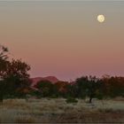 ** Dusk over the Harts Ranges **