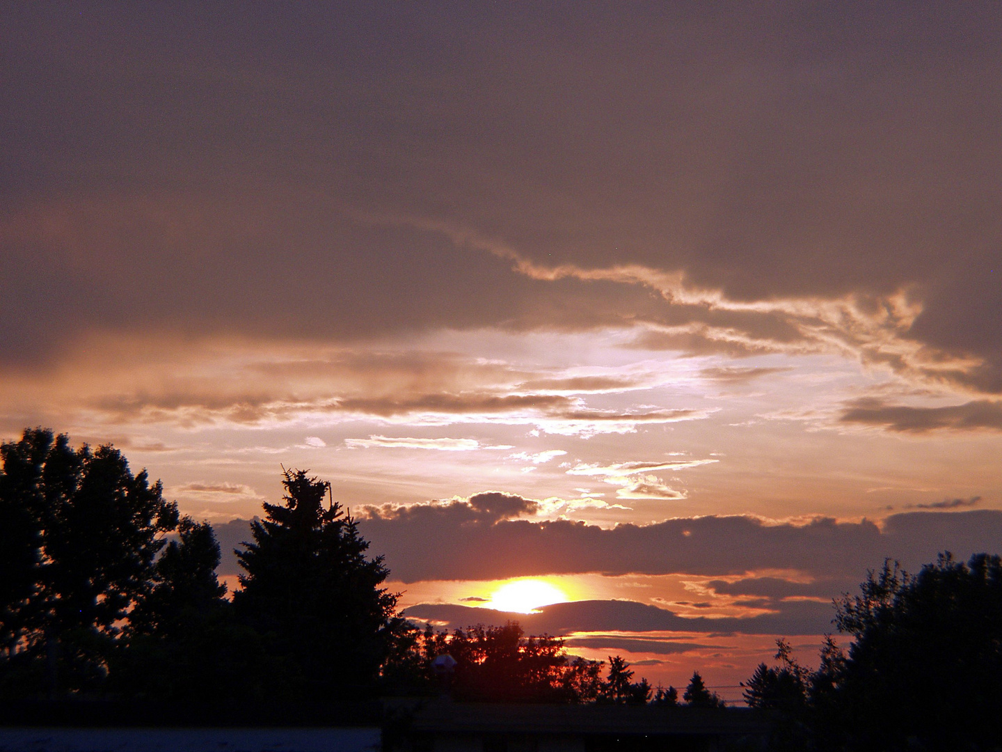 Dusk until Dawn -Calgary Sunset