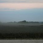 Dust after the combine harvester have passed by