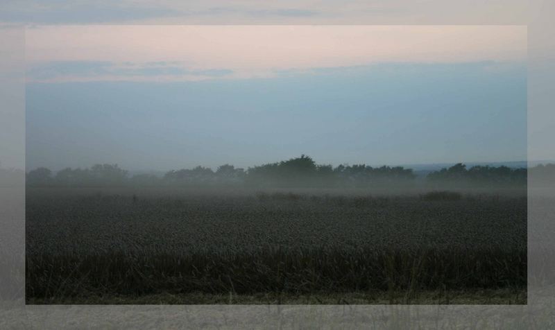 Dust after the combine harvester have passed by