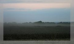 Dust after the combine harvester have passed by