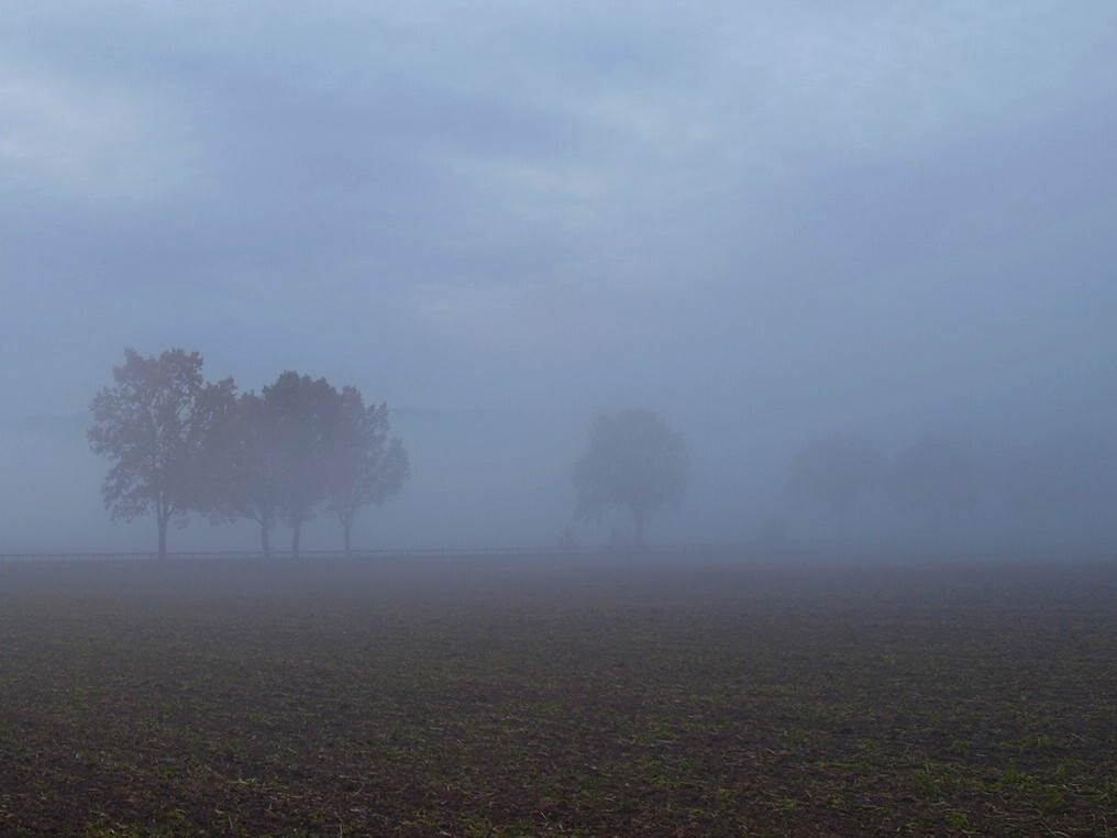 dust in the fields