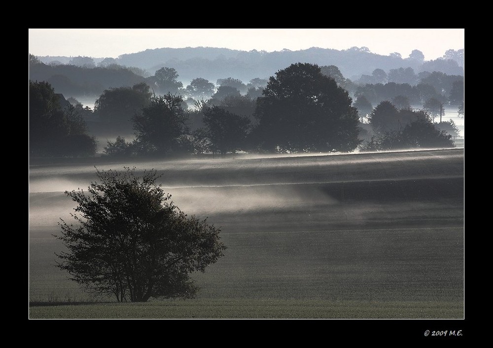 Dust in the wind