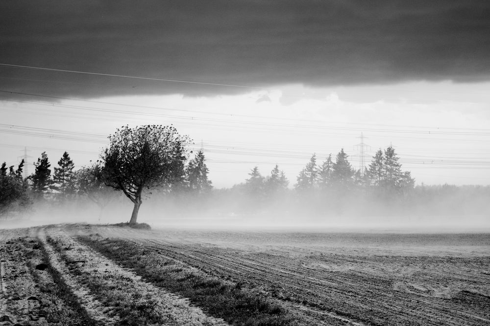 dust in the wind Foto & Bild landscape, forest, fields & meadows