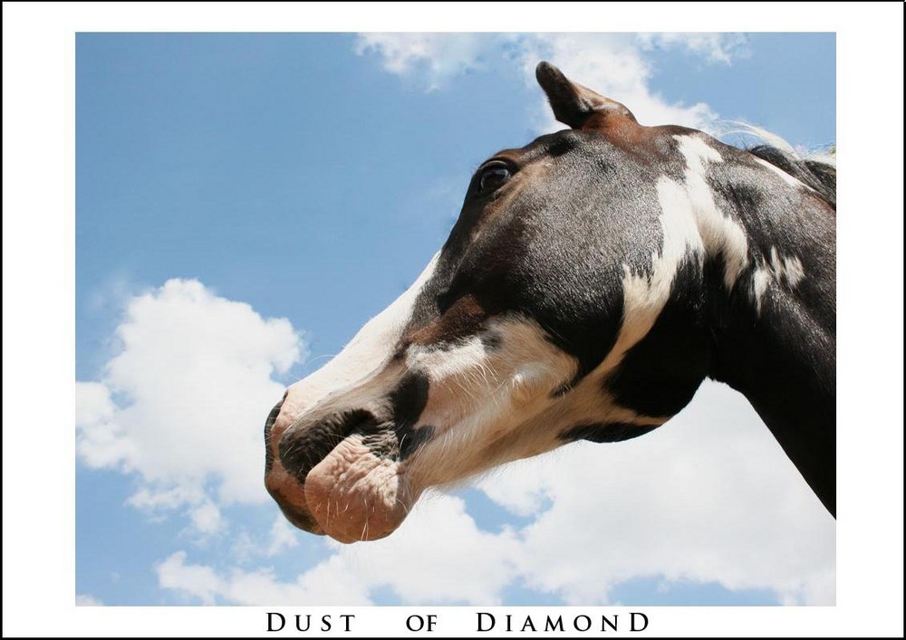 Dust of Diamond