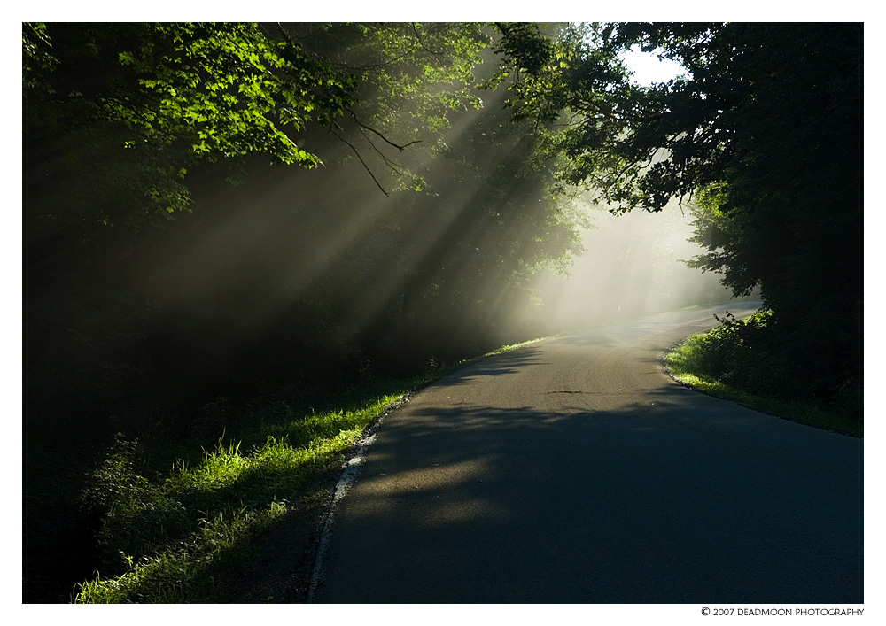 Dusty Road