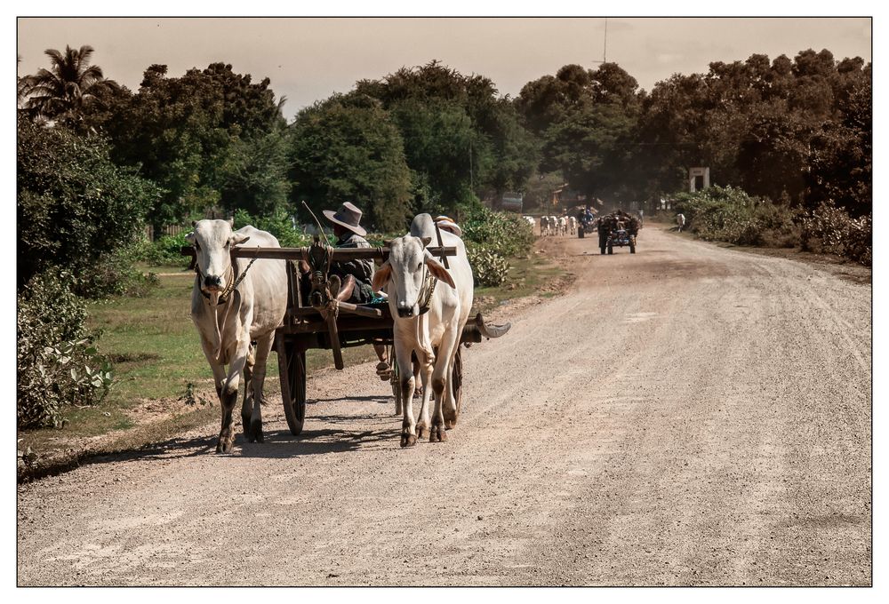 Dusty Road