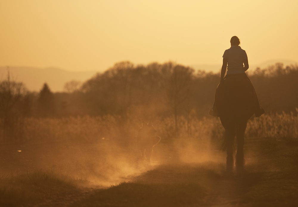 dusty roads