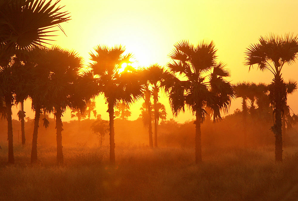 Dusty Sunset