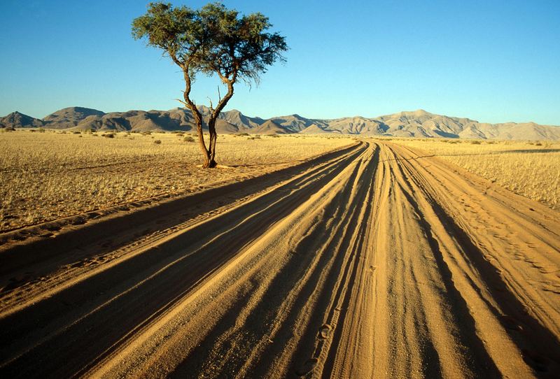 Dusty Track