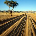 Dusty Track