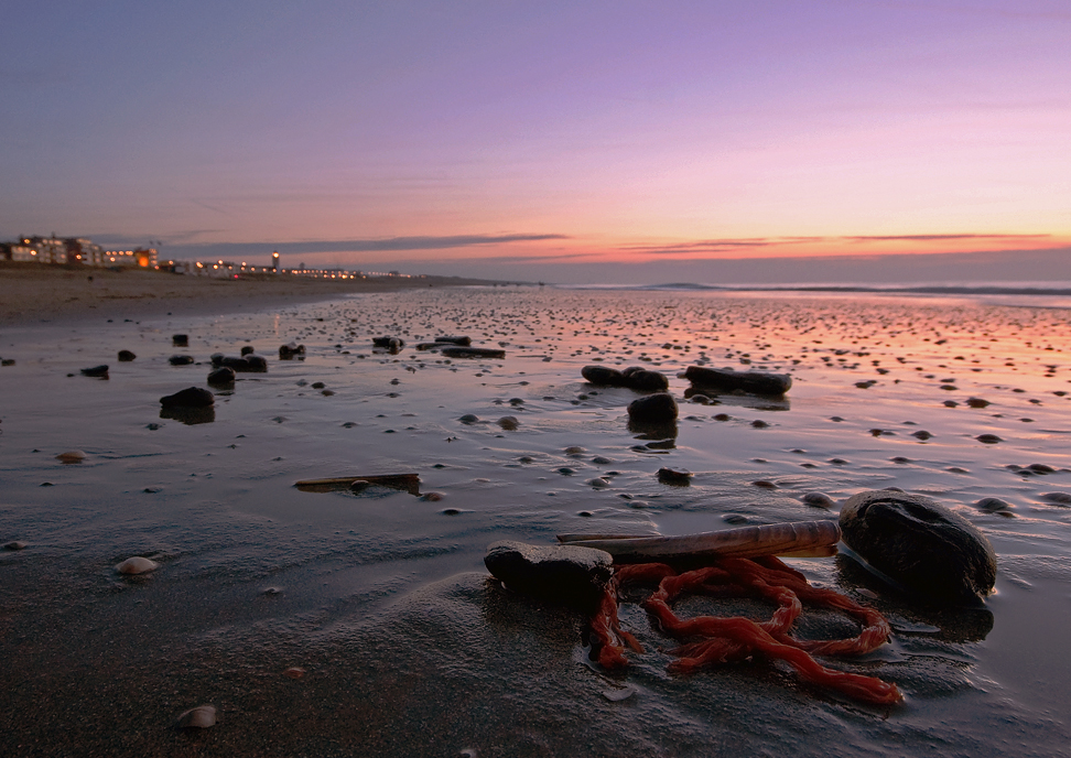 dutch beaches