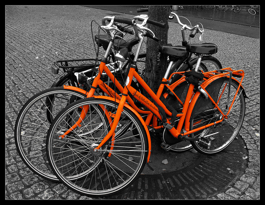 Dutch bike Amstredam