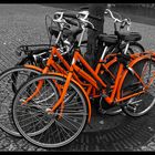 Dutch bike Amstredam