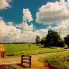 Dutch countryside