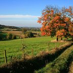 ~ Dutch-indian summer ~