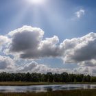 Dutch Landscape