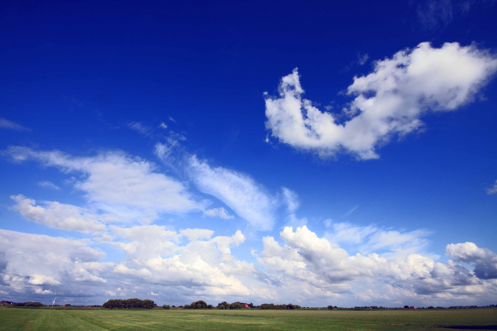 Dutch landscape