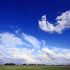 Dutch landscape