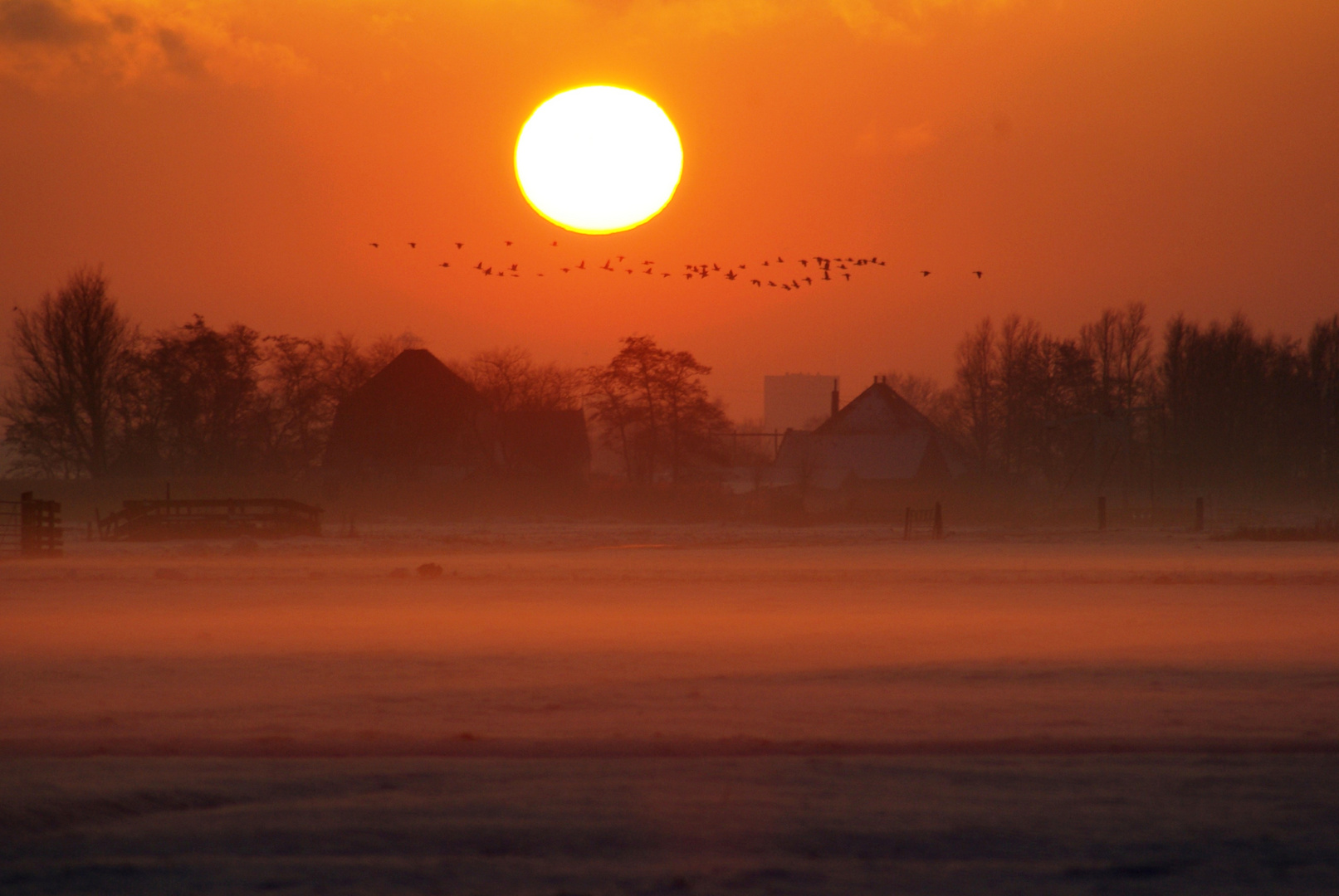 Dutch landscape in the winter!