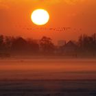 Dutch landscape in the winter!