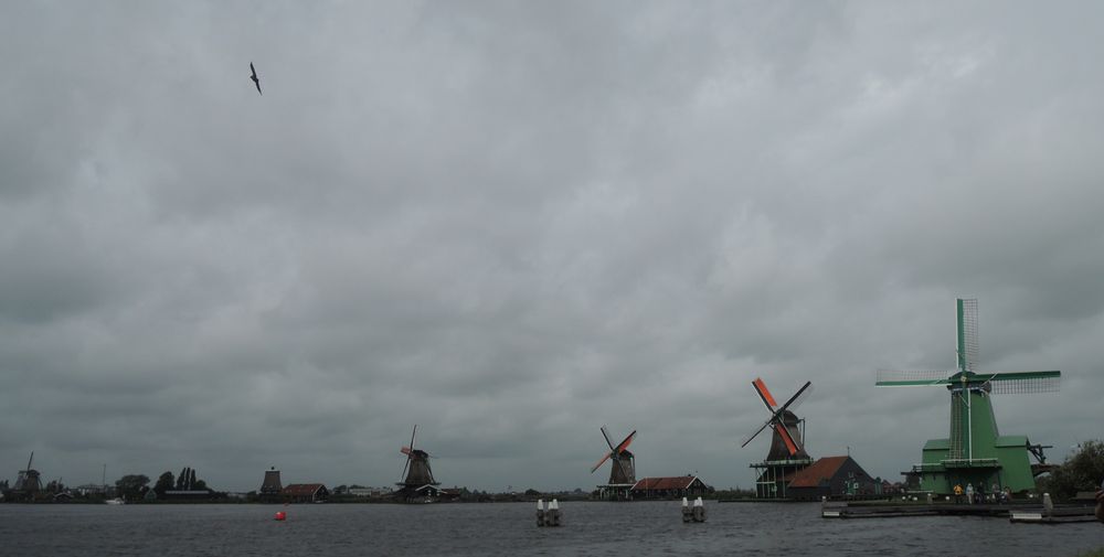 Dutch mills