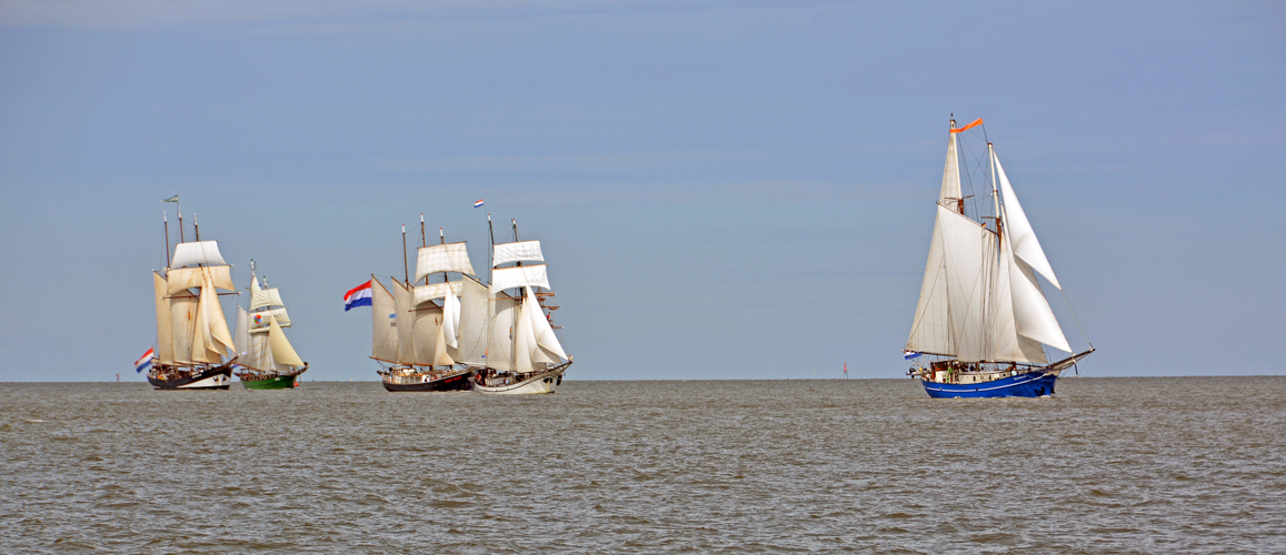 Dutch Sailing