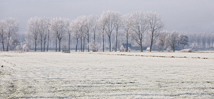 Dutch scenery