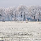 Dutch scenery