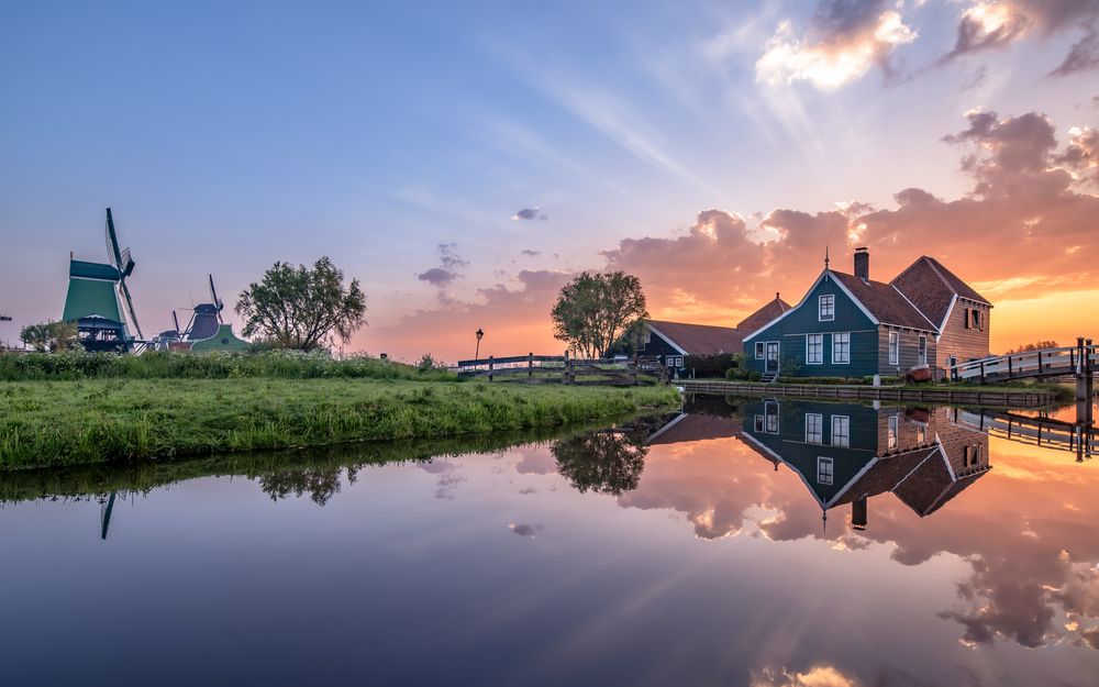 Dutch Sunrays