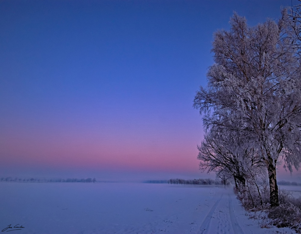 Dutch winter