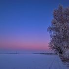 Dutch winter