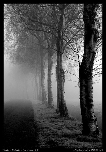 Dutch winter scenery I