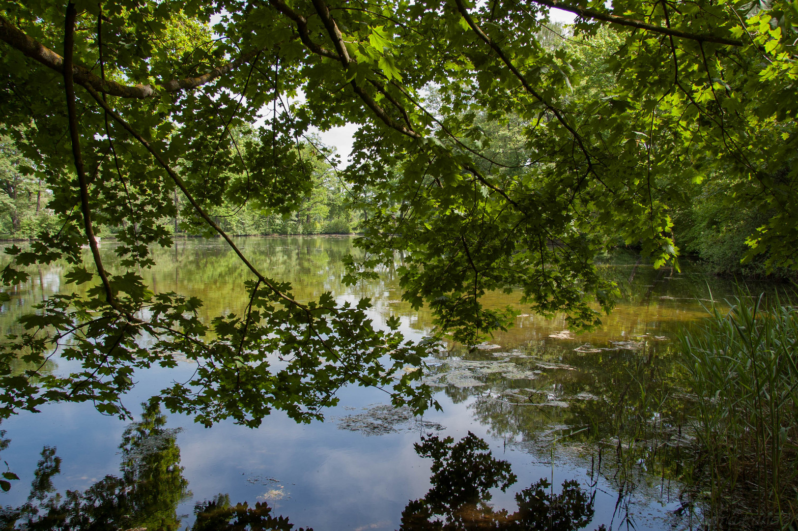 Dutzendteich