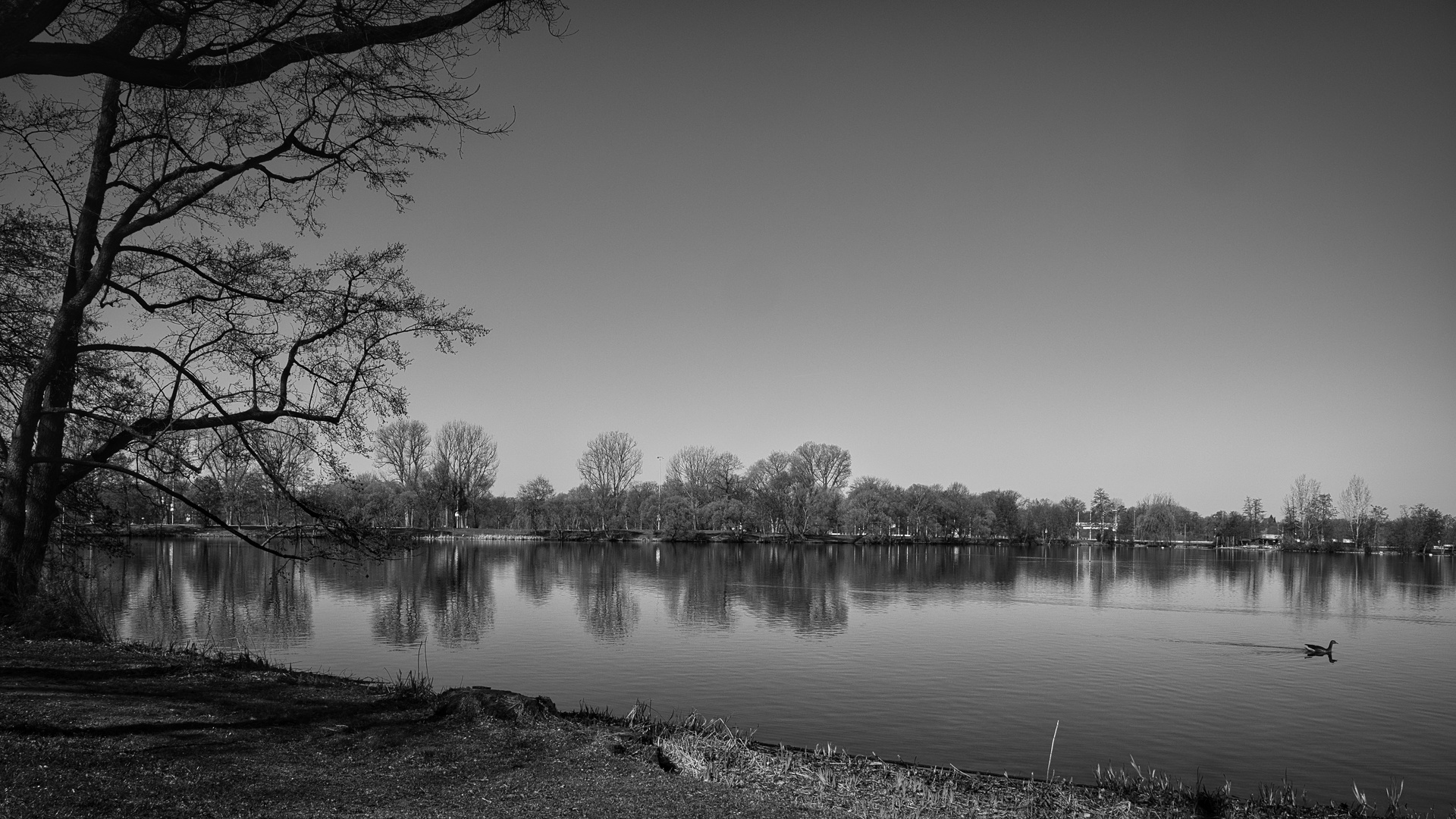 Dutzendteich in Nürnberg