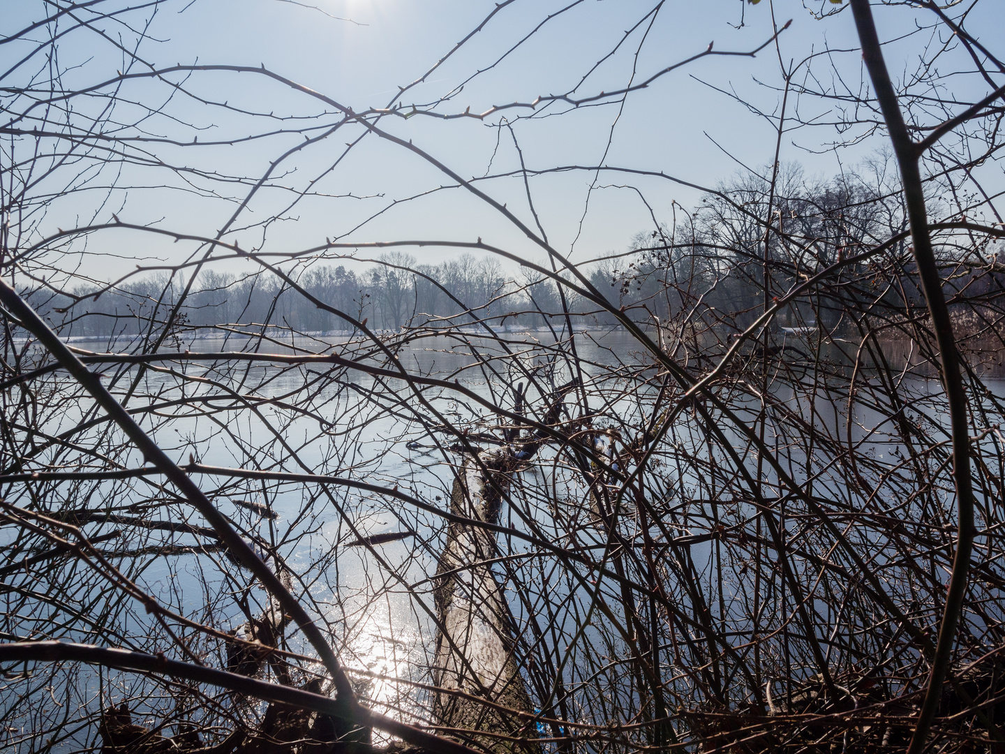 Dutzendteich in Nürnberg