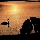 Dutzenteich in Nürnberg bei untergehender Sonne