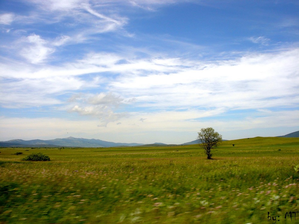 Duvanjsko polje