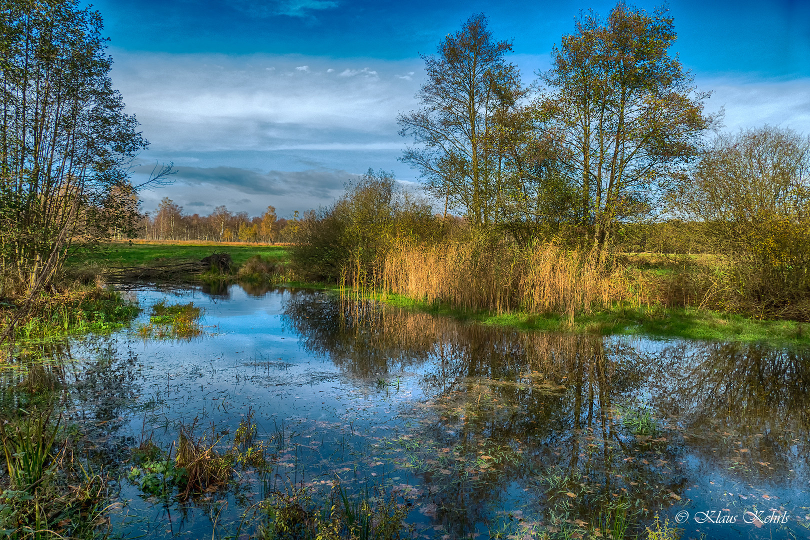 Duvenstedter Brook