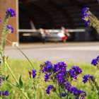 Duxford 2010 - I