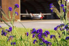 Duxford 2010 - I