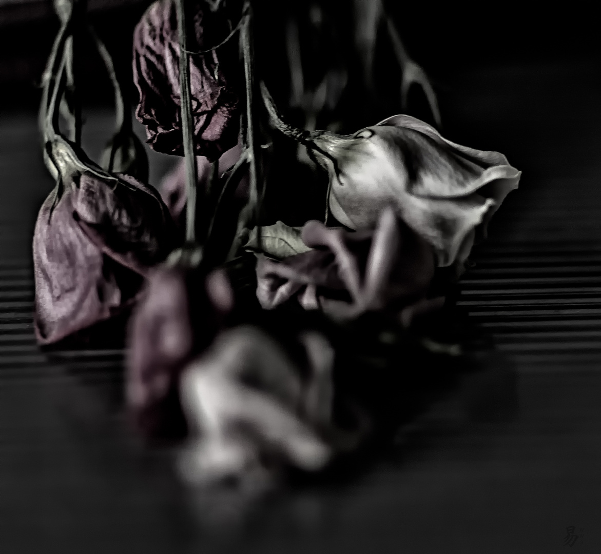 dying flowers