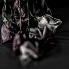 dying flowers