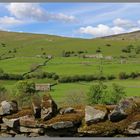 Dyke heads near Gunnerside in swaledale