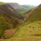 Dylife gorge, Mid Wales