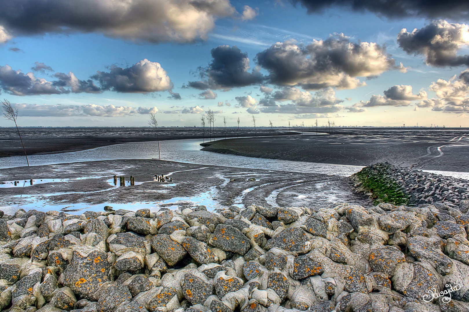 Dynamic of nature (Nordsee)